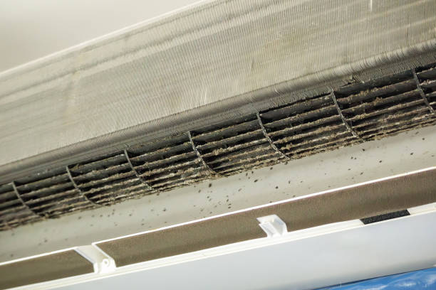 Best Air Duct Sanitization & Disinfection in Temple, TX